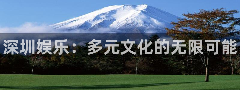 长征娱乐登录：深圳娱乐：多元文化的无限可能