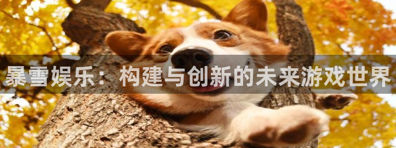 长征娱乐登录：暴雪娱乐：构建与创新的未来游戏世界
