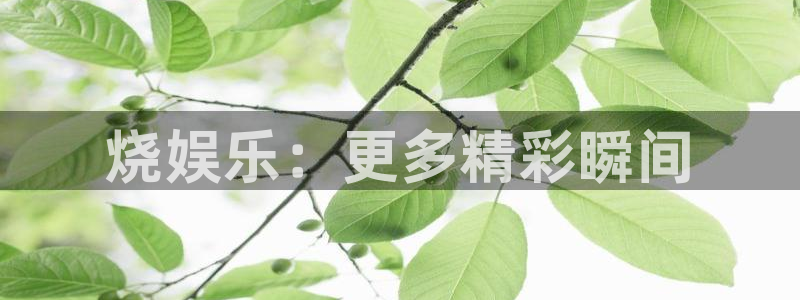 长征娱乐：烧娱乐：更多精彩瞬间