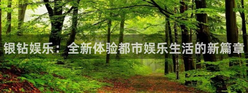 长征娱乐平台：银钻娱乐：全新体验都市娱乐生活的新篇章