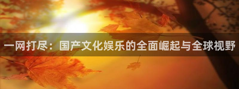 长征娱乐主管：一网打尽：国产文化娱乐的全面崛起与全球视野