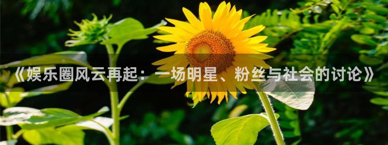 长征娱乐：《娱乐圈风云再起：一场明星、粉丝与社会的讨论》