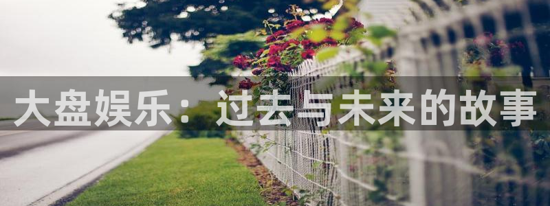 长征娱乐平台注册：大盘娱乐：过去与未来的故事