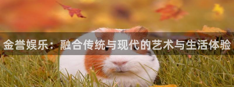 长征娱乐：金誉娱乐：融合传统与现代的艺术与生活体验